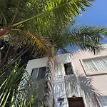 Alebrije Tequila House