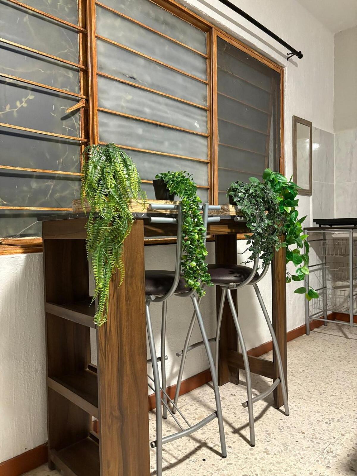 Apartamento Alebrije Tequila House *