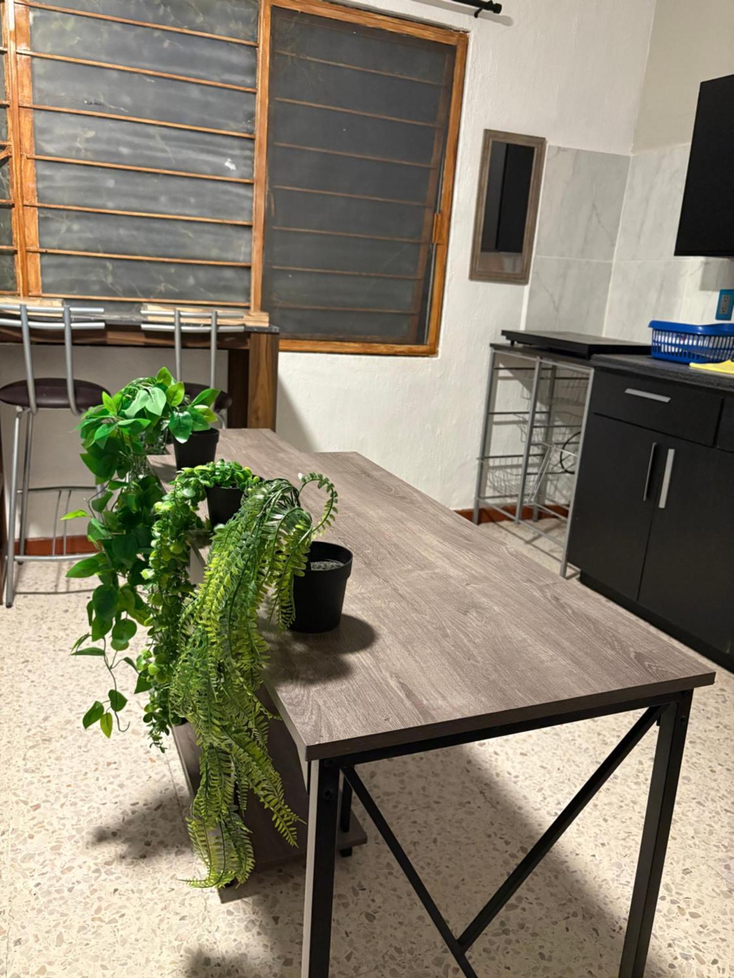 Apartamento Alebrije Tequila House *