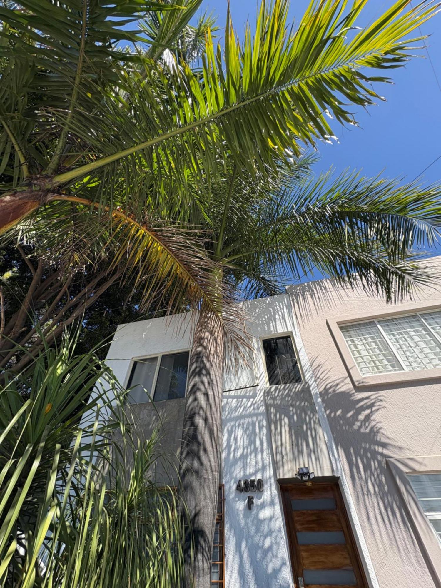 Alebrije Tequila House *
